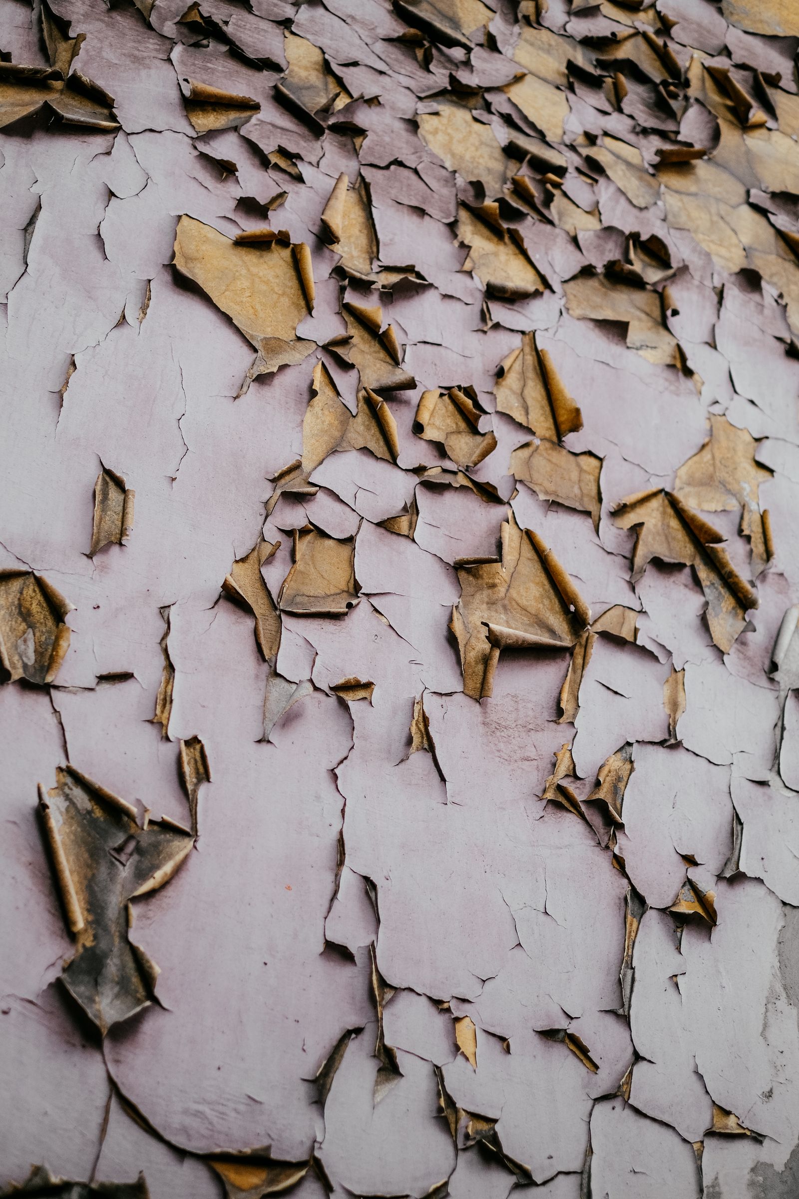 Peeling paint